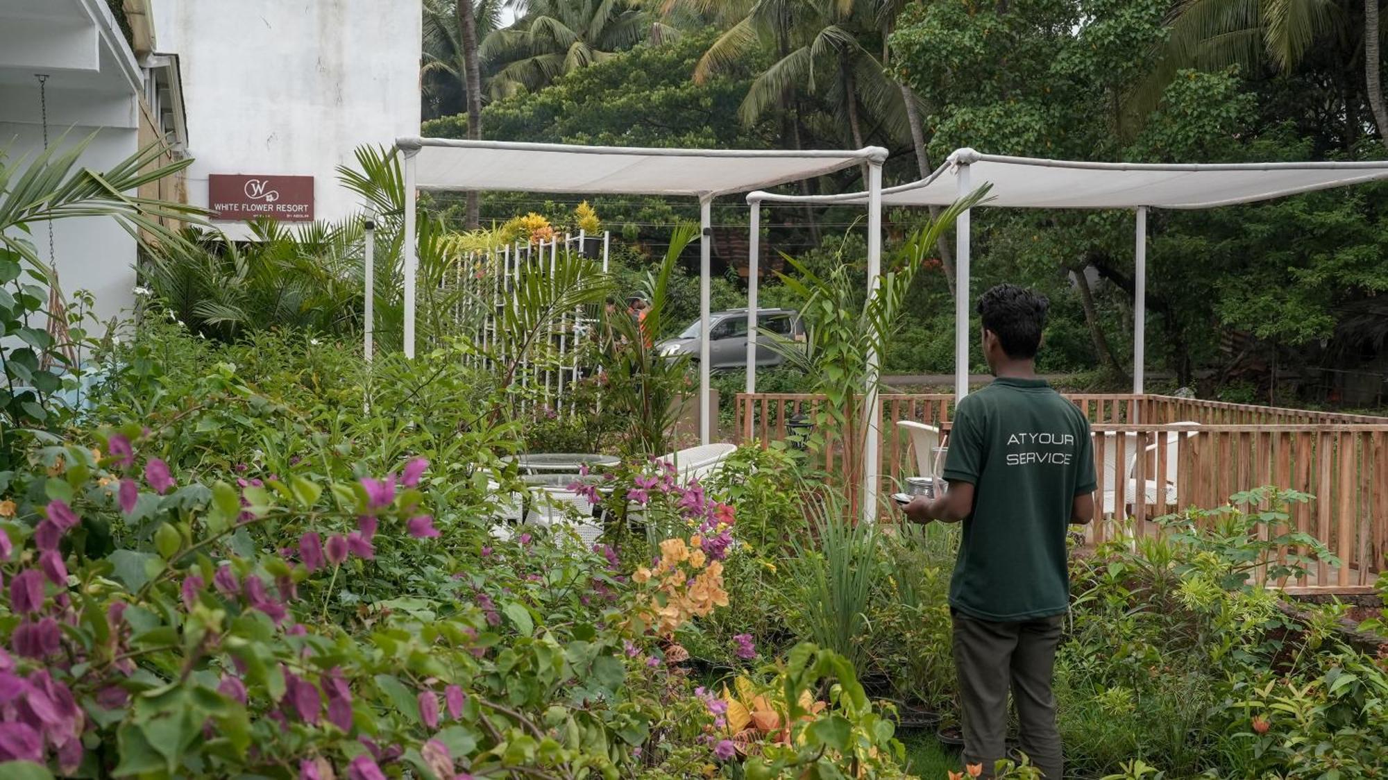 Whiteflower Resort มอร์จิม ภายนอก รูปภาพ